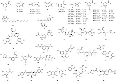 Phenolic acids from medicinal and edible homologous plants: a potential anti-inflammatory agent for inflammatory diseases